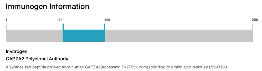 CAPZA2 Polyclonal Antibody