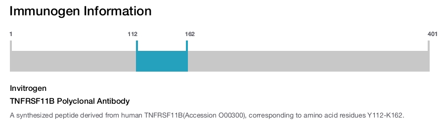 TNFRSF11B Polyclonal Antibody