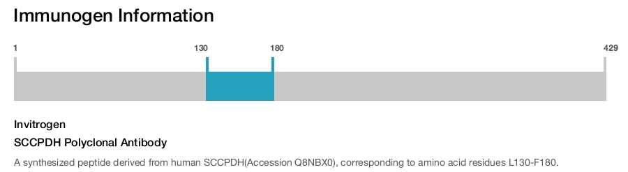 SCCPDH Polyclonal Antibody