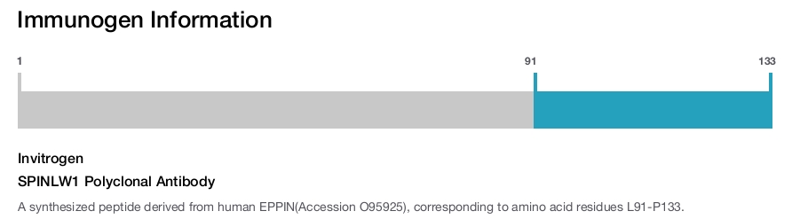 SPINLW1 Polyclonal Antibody