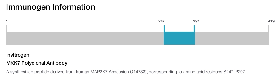 MKK7 Polyclonal Antibody