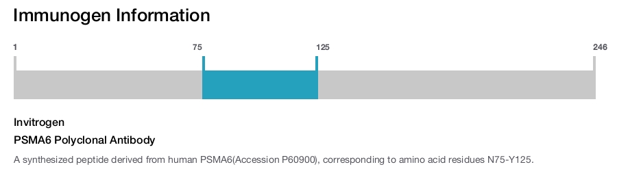 PSMA6 Polyclonal Antibody