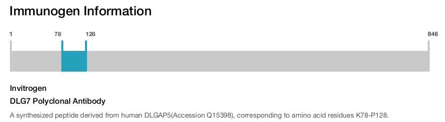 DLG7 Polyclonal Antibody