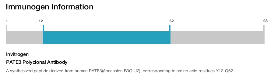 PATE3 Polyclonal Antibody