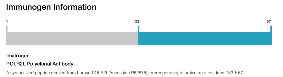 POLR2L Polyclonal Antibody