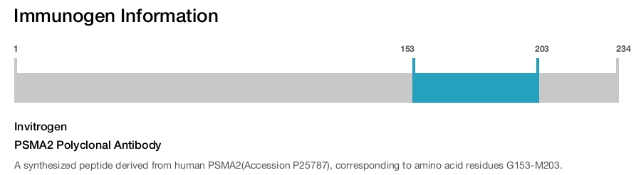 PSMA2 Polyclonal Antibody