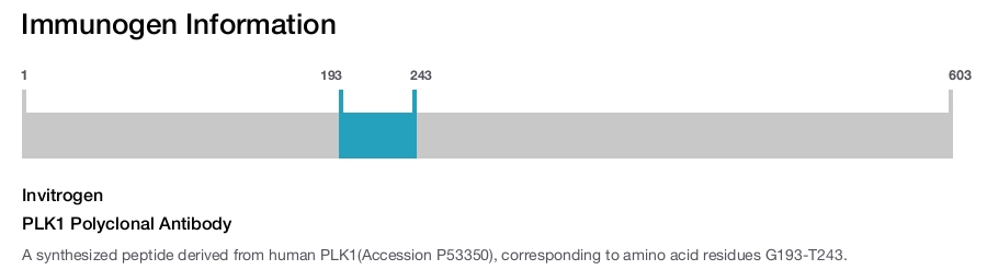 PLK1 Polyclonal Antibody