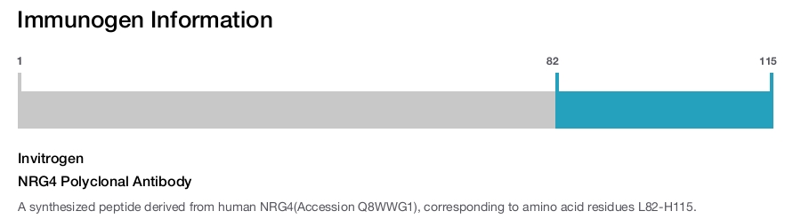 NRG4 Polyclonal Antibody