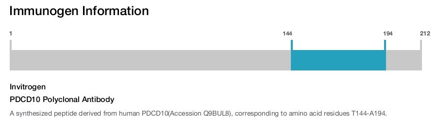 PDCD10 Polyclonal Antibody