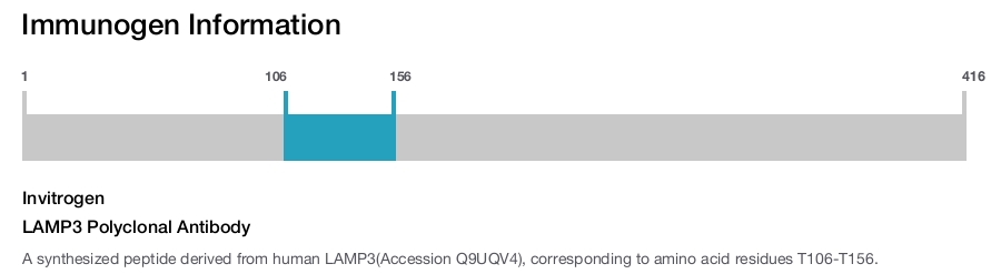 LAMP3 Polyclonal Antibody