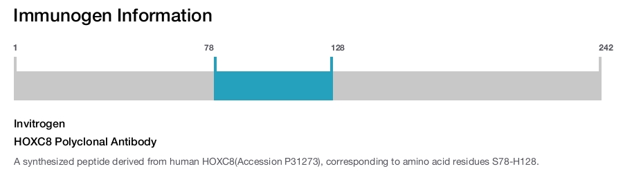 HOXC8 Polyclonal Antibody