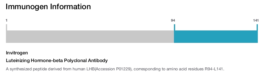 Luteinizing Hormone-beta Polyclonal Antibody