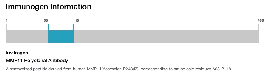 MMP11 Polyclonal Antibody