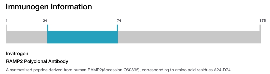 RAMP2 Polyclonal Antibody