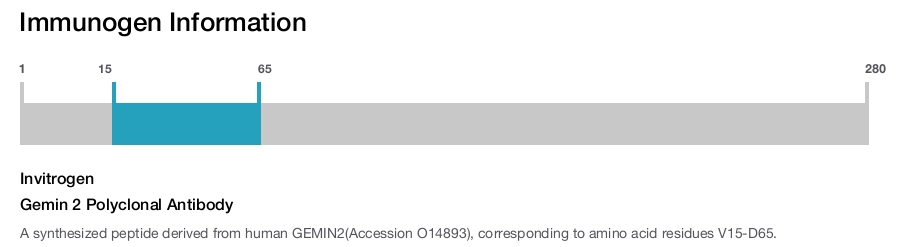 Gemin 2 Polyclonal Antibody