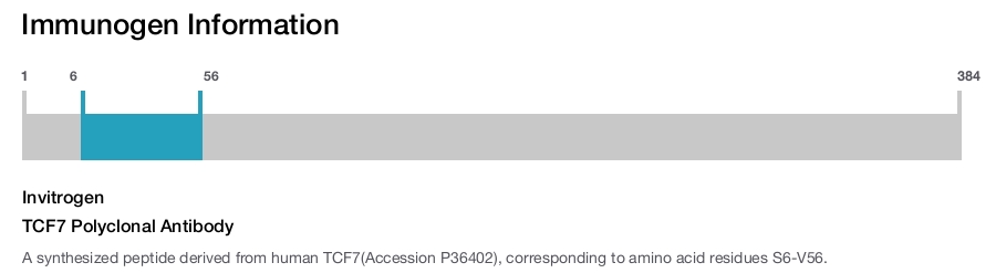 TCF7 Polyclonal Antibody