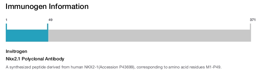 Nkx2.1 Polyclonal Antibody