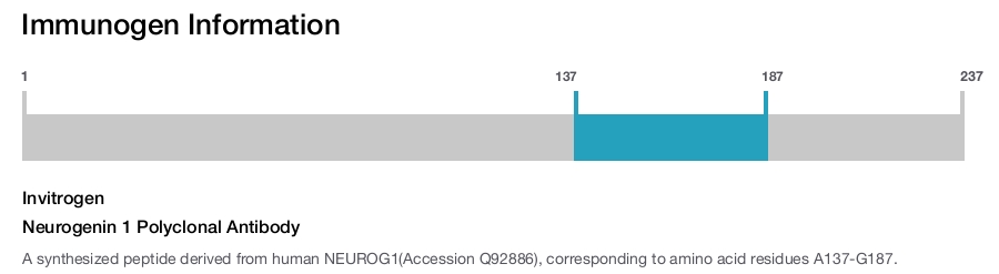 Neurogenin 1 Polyclonal Antibody