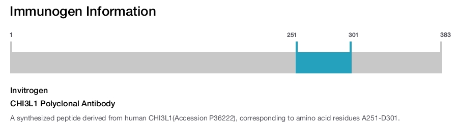 CHI3L1 Polyclonal Antibody