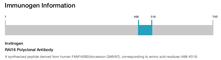 RAI16 Polyclonal Antibody