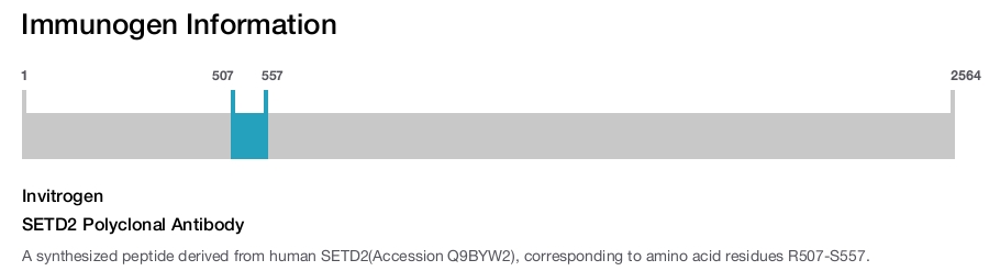 SETD2 Polyclonal Antibody
