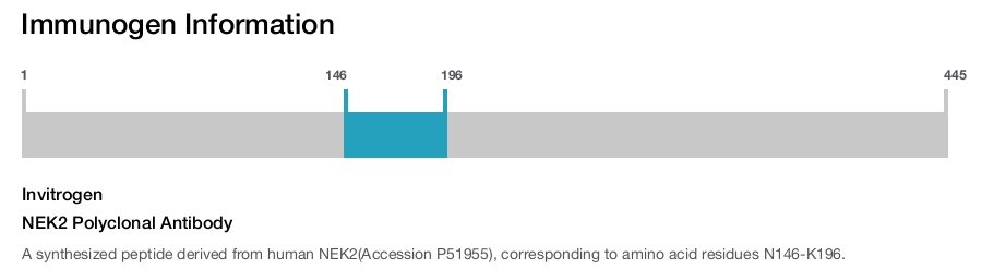 NEK2 Polyclonal Antibody