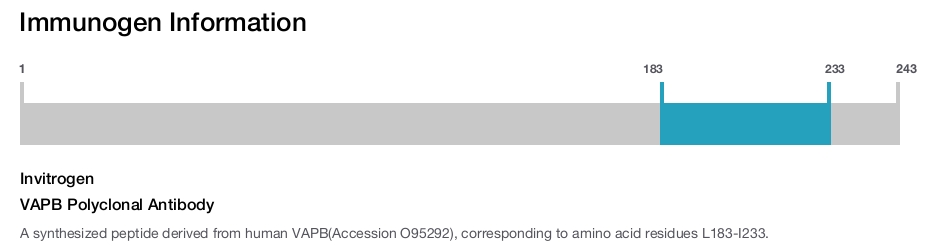 VAPB Polyclonal Antibody