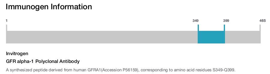 GFR alpha-1 Polyclonal Antibody