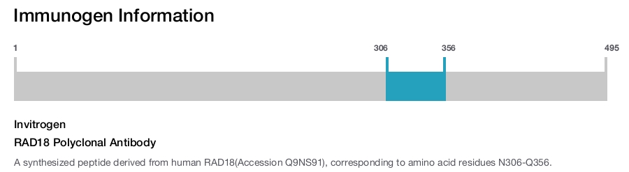 RAD18 Polyclonal Antibody
