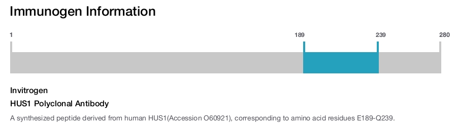 HUS1 Polyclonal Antibody