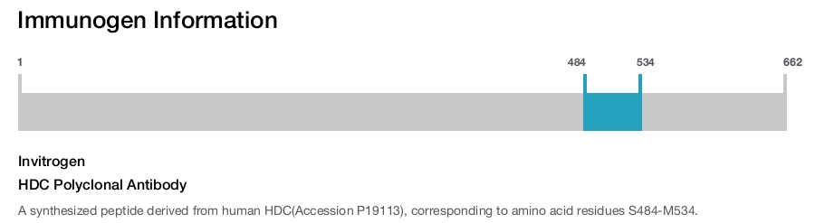 HDC Polyclonal Antibody
