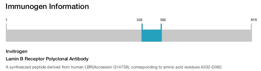Lamin B Receptor Polyclonal Antibody