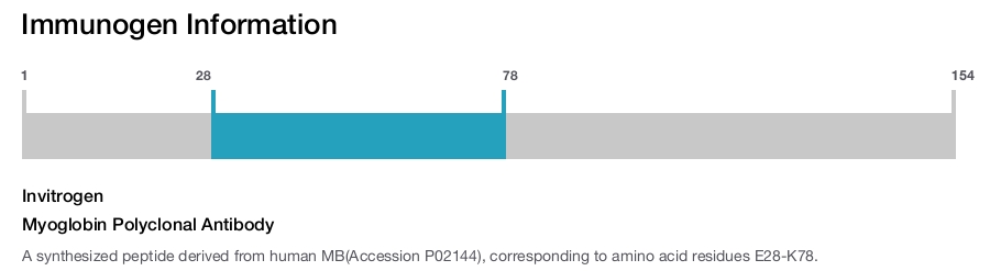 Myoglobin Polyclonal Antibody