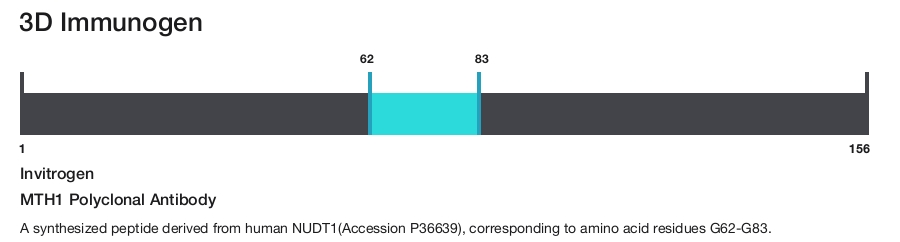 MTH1 Polyclonal Antibody
