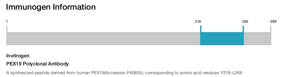 PEX19 Polyclonal Antibody