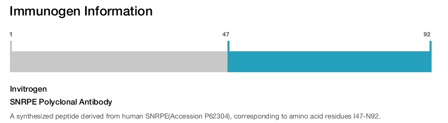 SNRPE Polyclonal Antibody