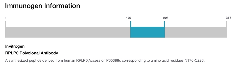 RPLP0 Polyclonal Antibody