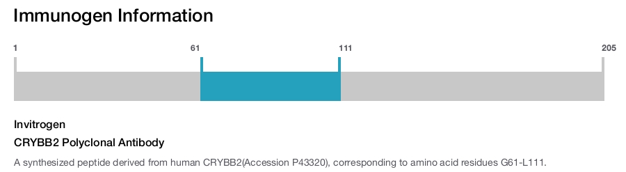 CRYBB2 Polyclonal Antibody