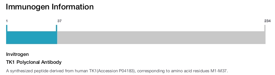 TK1 Polyclonal Antibody