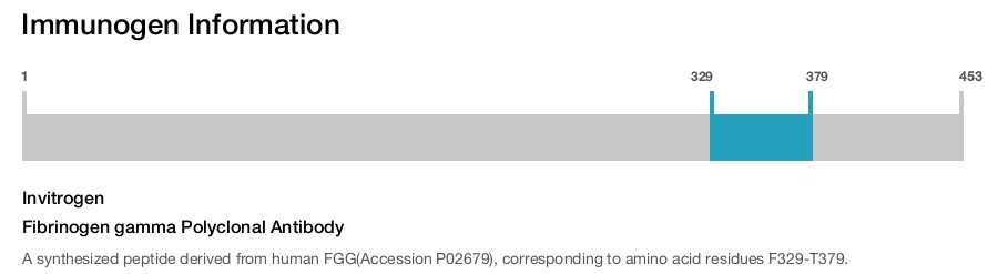 Fibrinogen gamma Polyclonal Antibody