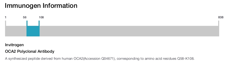 OCA2 Polyclonal Antibody