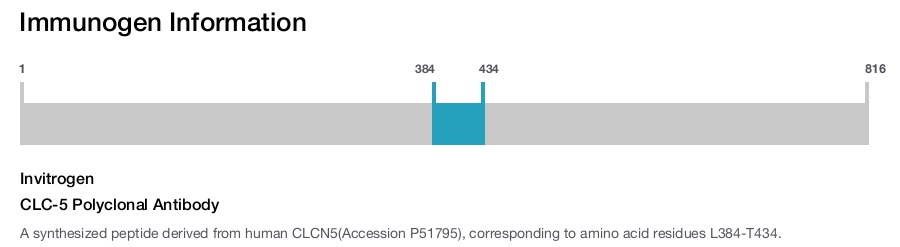 CLC-5 Polyclonal Antibody
