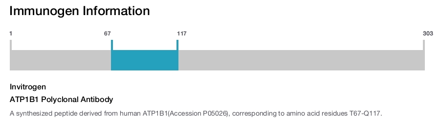 ATP1B1 Polyclonal Antibody
