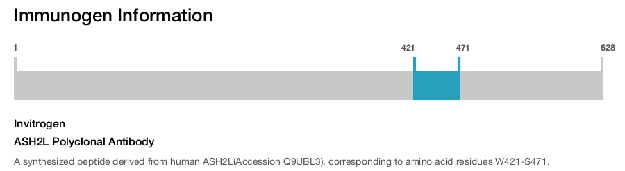 ASH2L Polyclonal Antibody