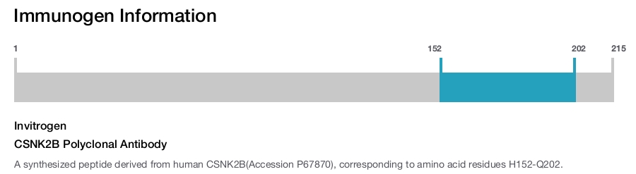 CSNK2B Polyclonal Antibody