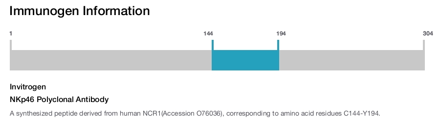 NKp46 Polyclonal Antibody
