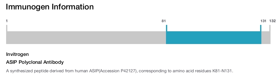 ASIP Polyclonal Antibody