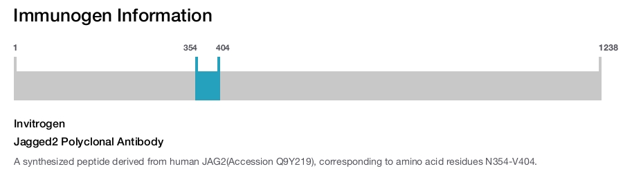Jagged2 Polyclonal Antibody