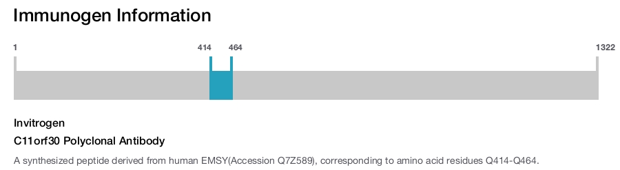 C11orf30 Polyclonal Antibody