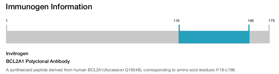 BCL2A1 Polyclonal Antibody